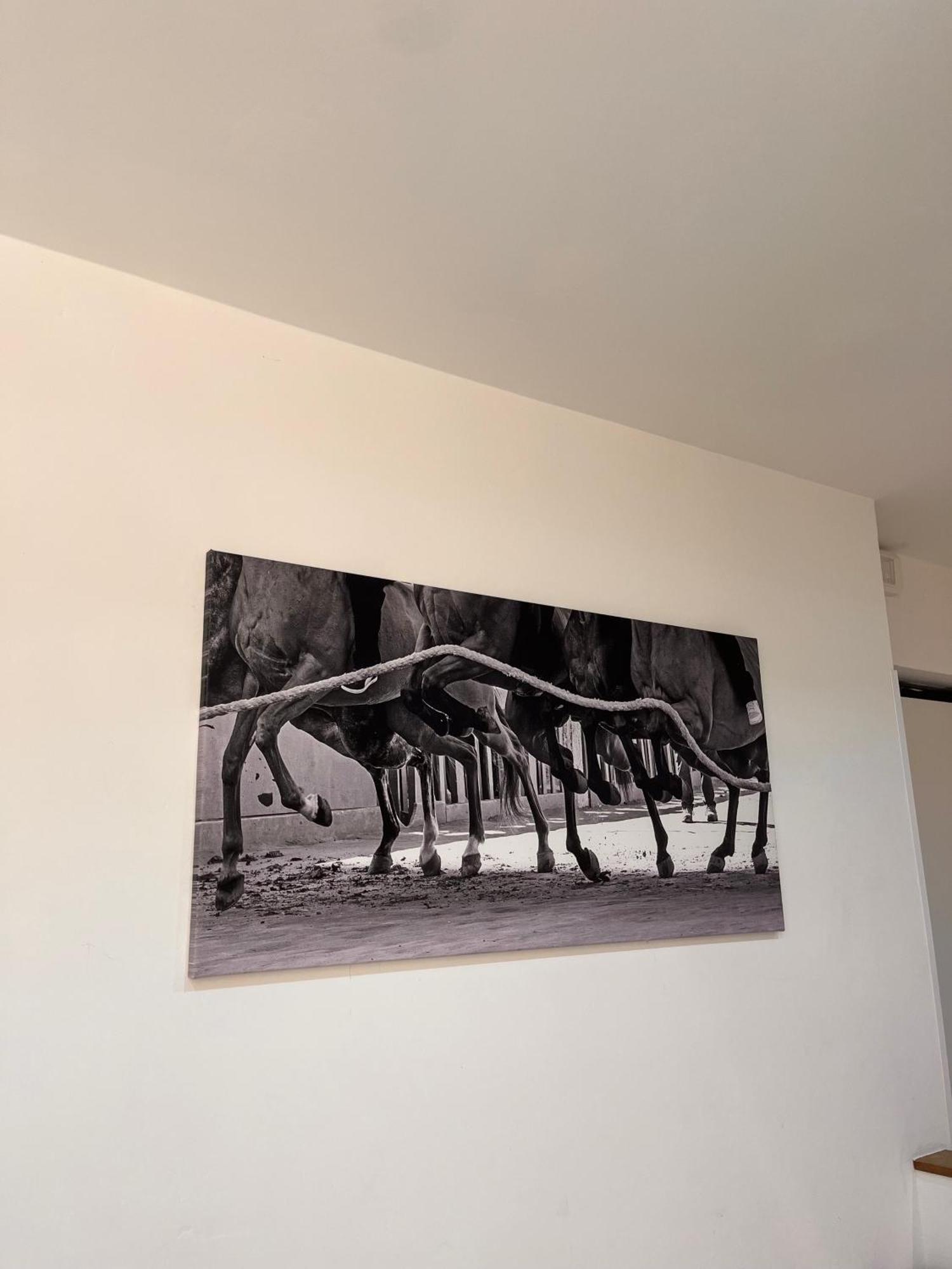 La Casa Del Palio Apartment Siena Bagian luar foto